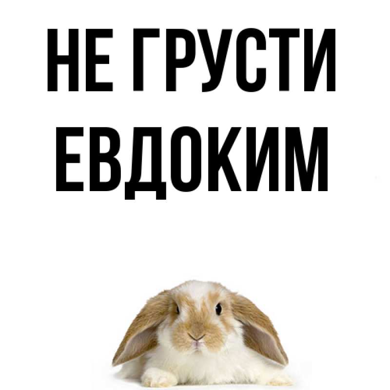 Картинка Не грусти, Евдоким