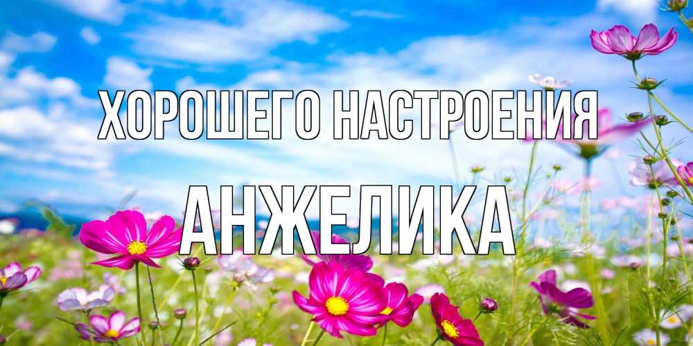Открытка на каждый день с именем, Анжелика Хорошего настроения поле цветов Прикольная открытка с пожеланием онлайн скачать бесплатно 