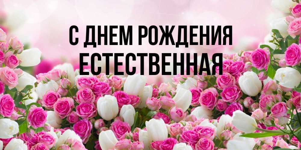 Открытка на каждый день с именем, Естественная С днем рождения открытка с разными розами Прикольная открытка с пожеланием онлайн скачать бесплатно 