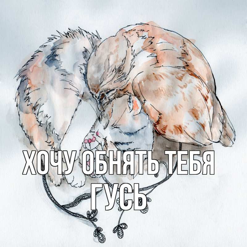 Картинка Хочу обнять тебя, Гусь