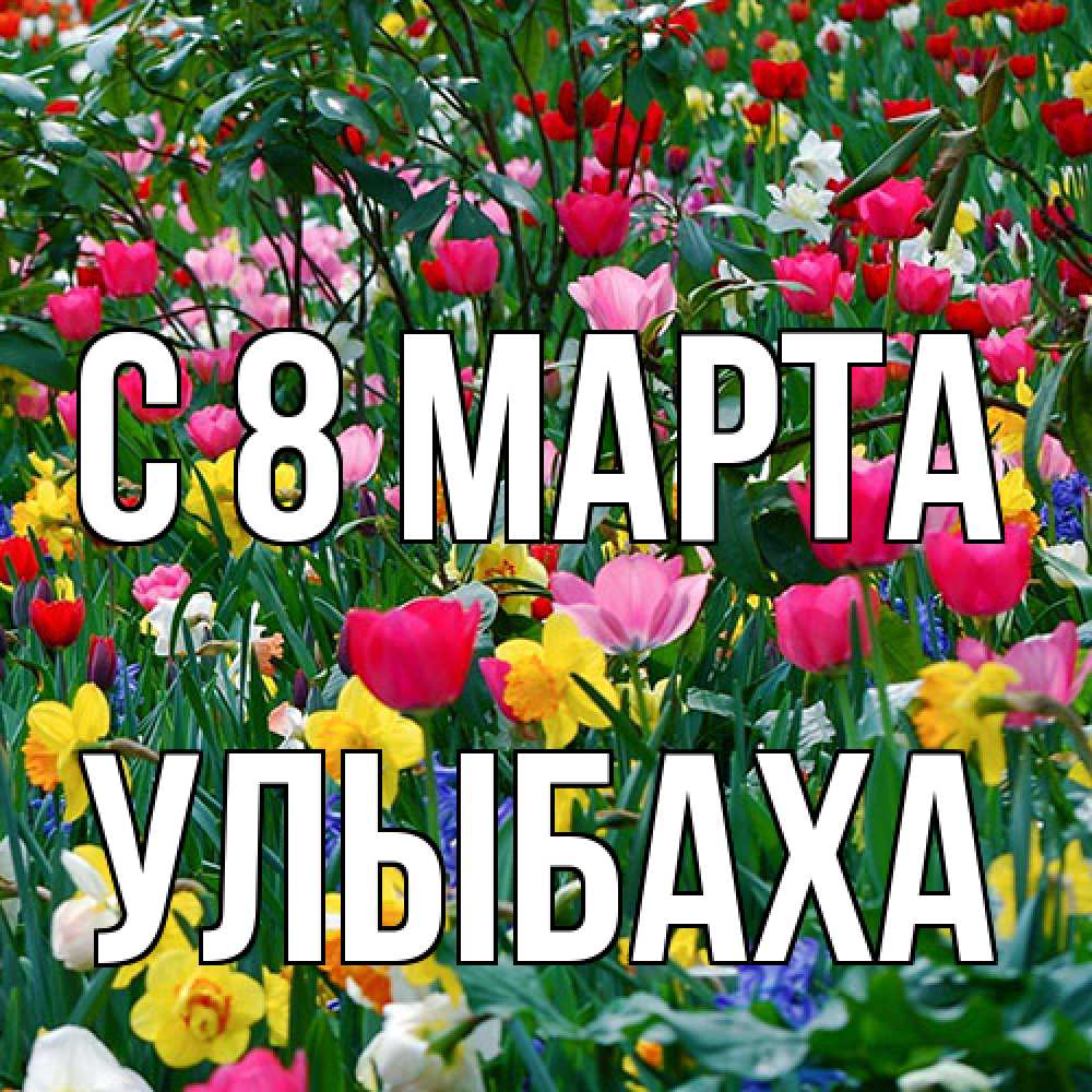 Открытка на каждый день с именем, Улыбаха C 8 МАРТА с международным женским днем поздравления для женщины Прикольная открытка с пожеланием онлайн скачать бесплатно 