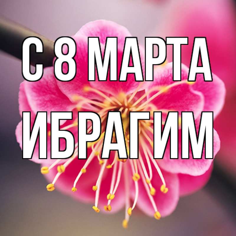 Картинка C 8 МАРТА, Ибрагим