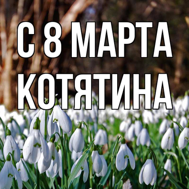 Картинка C 8 МАРТА, Котятина