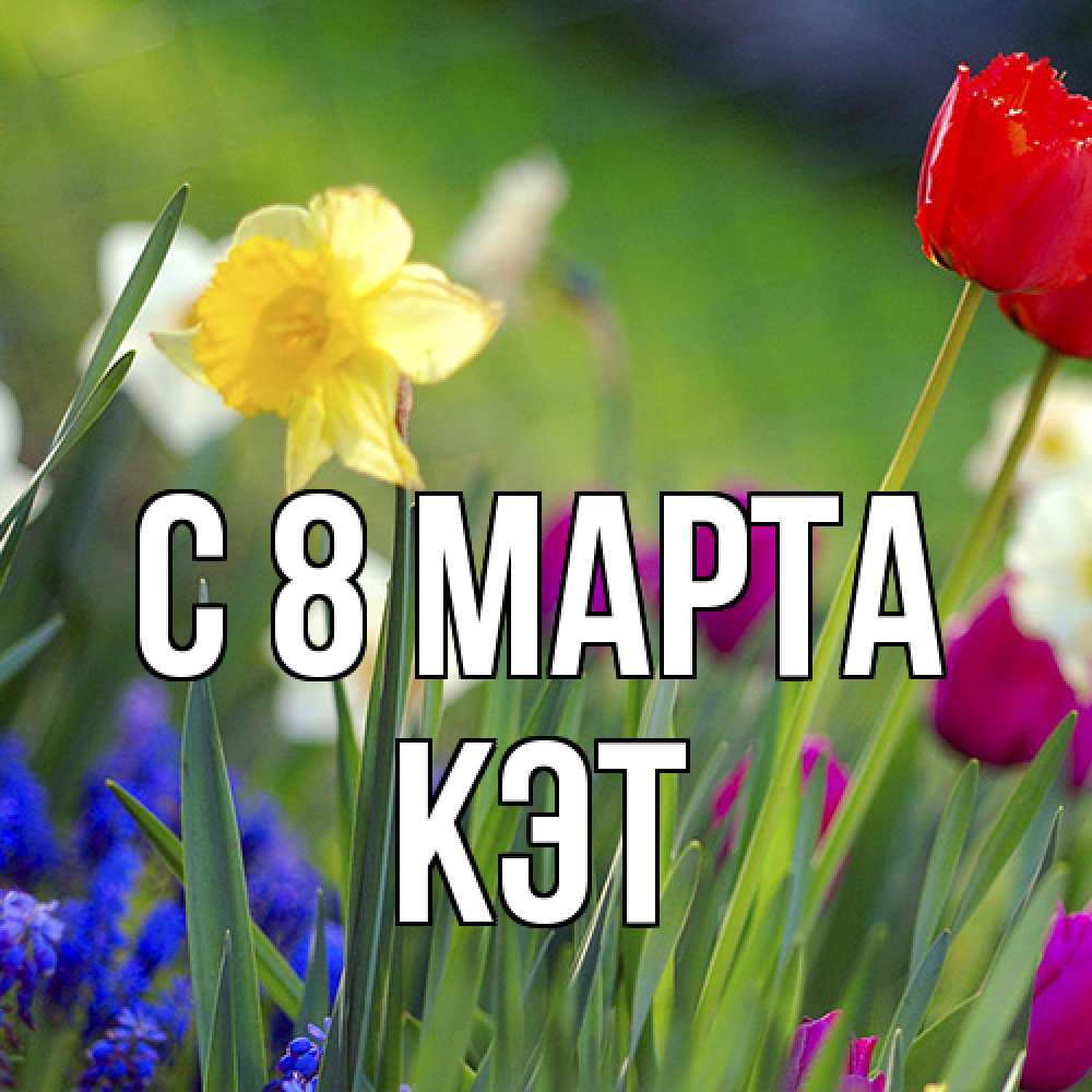 Открытка на каждый день с именем, Кэт C 8 МАРТА международный женский день 3 Прикольная открытка с пожеланием онлайн скачать бесплатно 