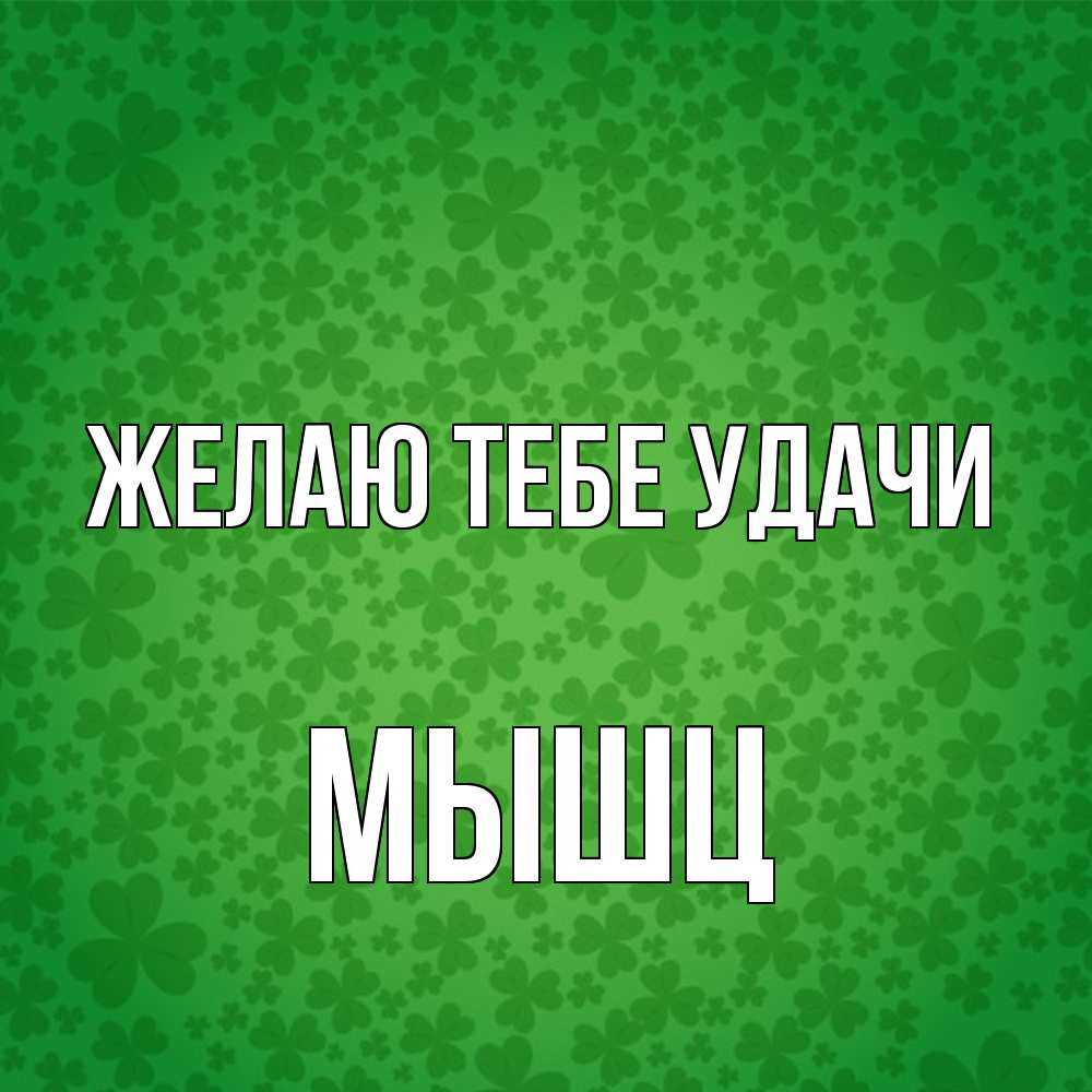 Открытка на каждый день с именем, Мышц Желаю тебе удачи много листочков на удачу Прикольная открытка с пожеланием онлайн скачать бесплатно 