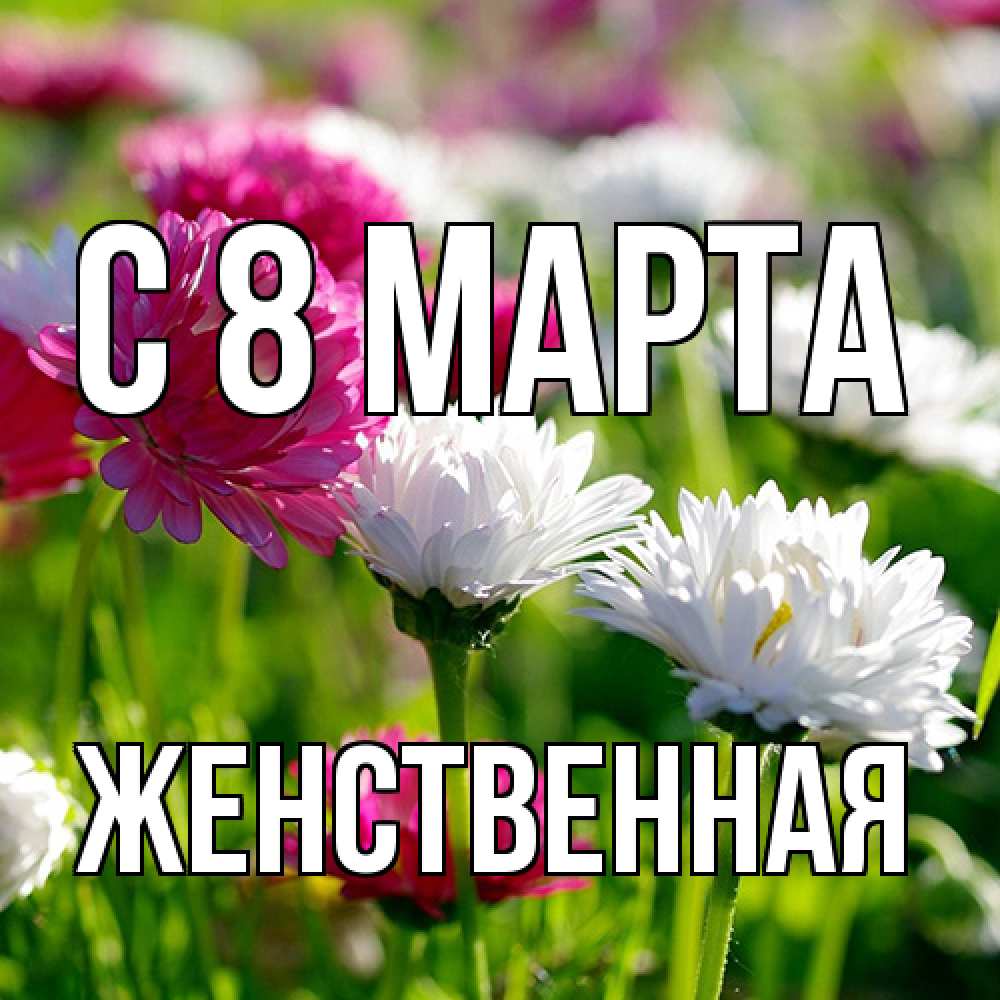 Открытка на каждый день с именем, женственная C 8 МАРТА международный женский день 1 Прикольная открытка с пожеланием онлайн скачать бесплатно 
