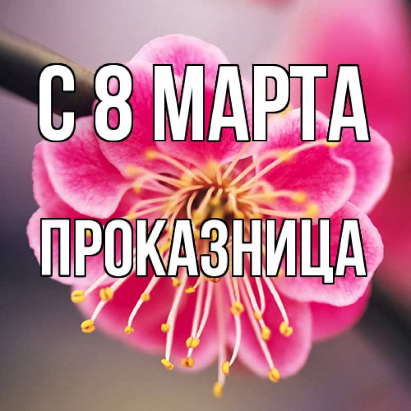 Картинка C 8 МАРТА, Пpоказница