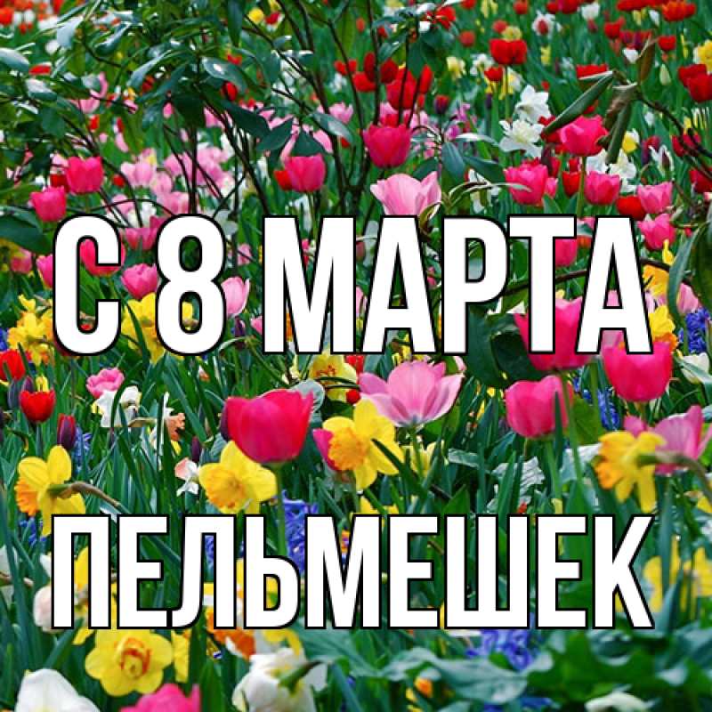 Картинка C 8 МАРТА, пельмешек