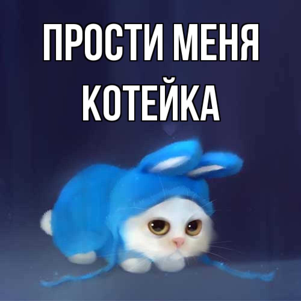 Открытка на каждый день с именем, Котейка Прости меня невинный котозай просит прощения Прикольная открытка с пожеланием онлайн скачать бесплатно 