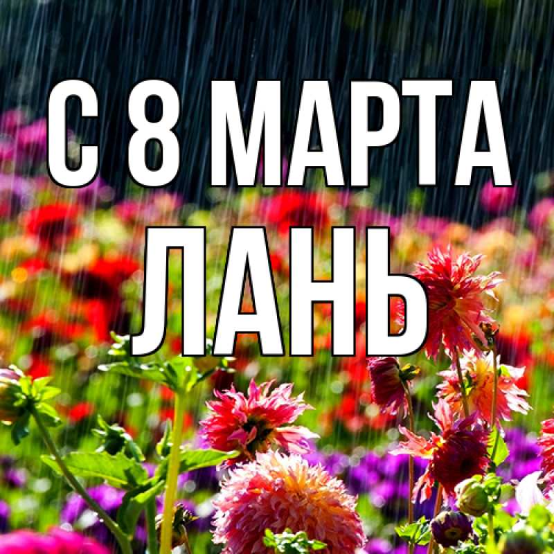 Картинка C 8 МАРТА, лань