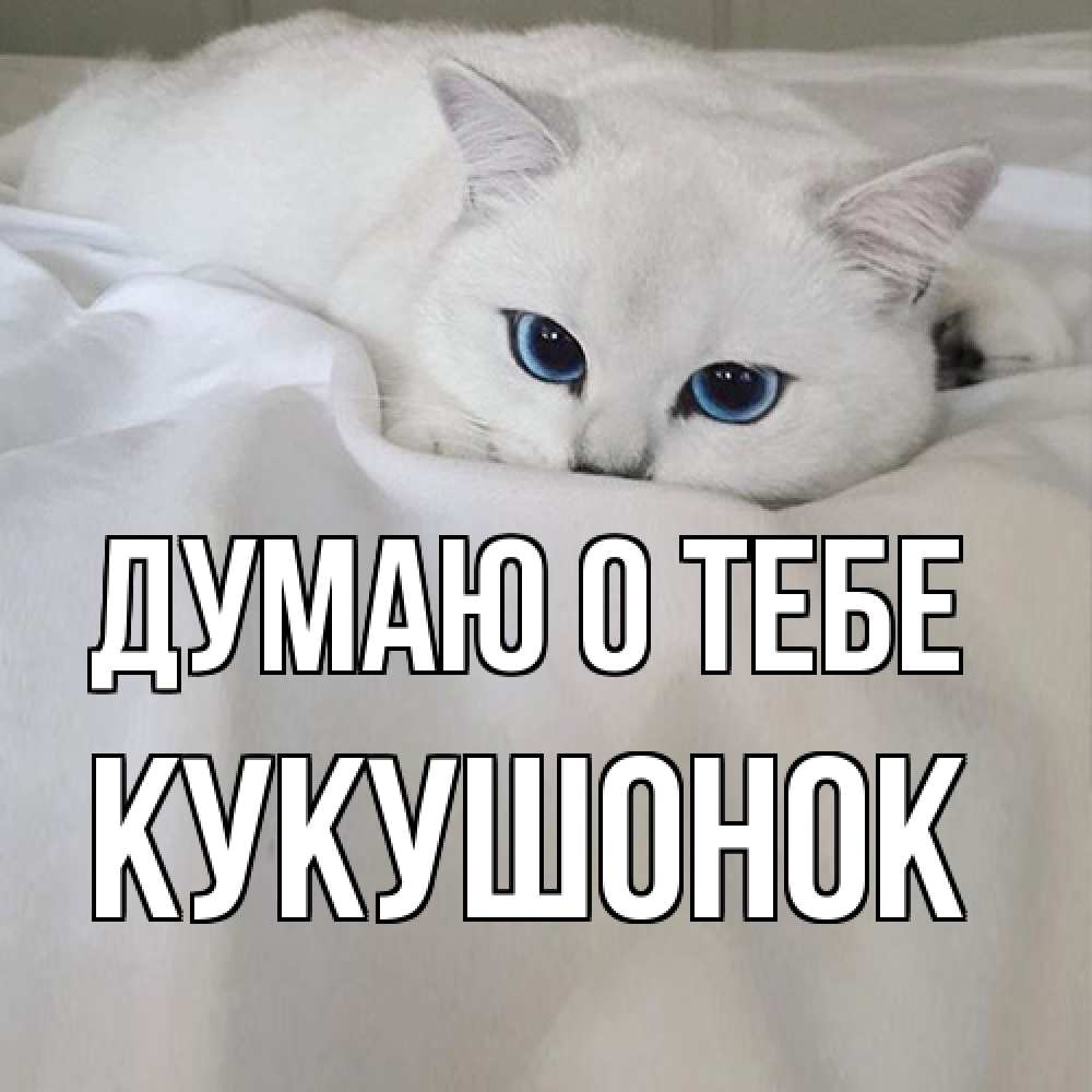 Открытка на каждый день с именем, кукушонок Думаю о тебе я очень по тебе скучаю и тоскую Прикольная открытка с пожеланием онлайн скачать бесплатно 