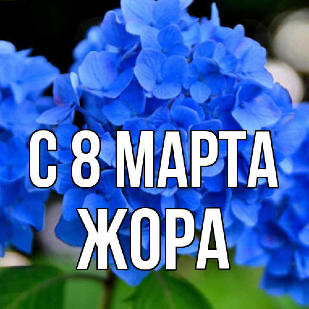 Открытка на каждый день с именем, Жора C 8 МАРТА синие цветы Прикольная открытка с пожеланием онлайн скачать бесплатно 