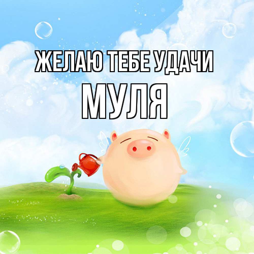 Открытка на каждый день с именем, Муля Желаю тебе удачи поросенок поливает цветок. летнее настроение Прикольная открытка с пожеланием онлайн скачать бесплатно 