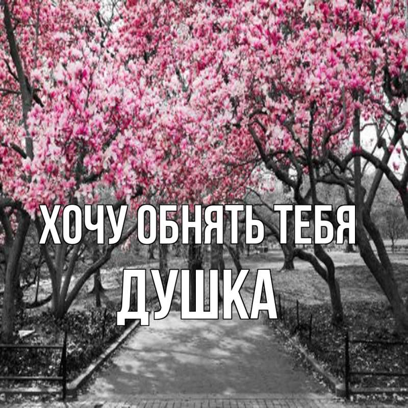Картинка Хочу обнять тебя, Душка