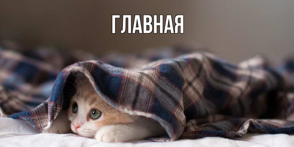 Открытка на каждый день с именем, Анна Главная не болейте с котиком Прикольная открытка с пожеланием онлайн скачать бесплатно 