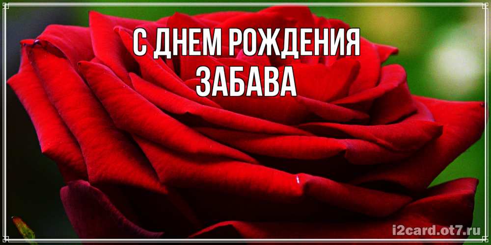 Открытка на каждый день с именем, Забава С днем рождения розочка очень красивая Прикольная открытка с пожеланием онлайн скачать бесплатно 