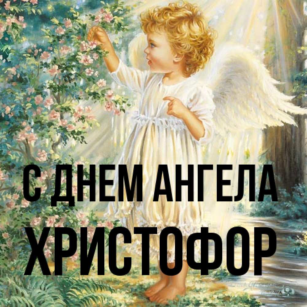 Открытка на каждый день с именем, Христофор С днем ангела собирает цветы Прикольная открытка с пожеланием онлайн скачать бесплатно 