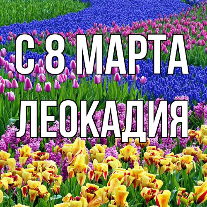 Картинка C 8 МАРТА, Леокадия