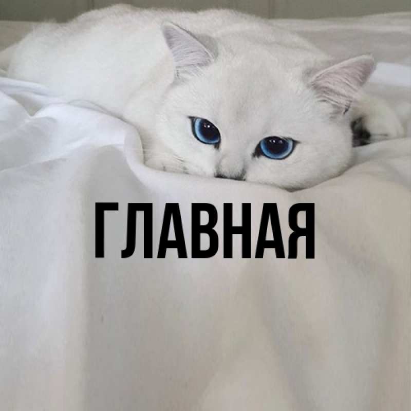 Картинка  с именем , настя