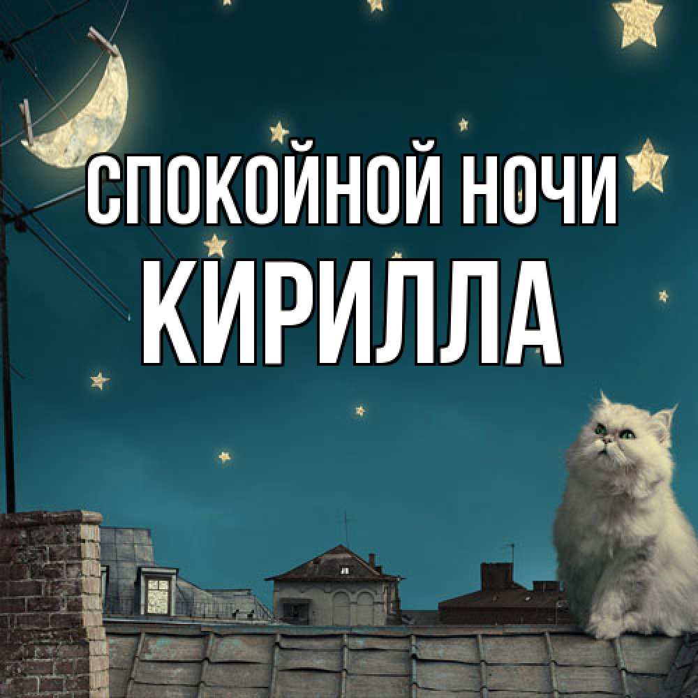 Открытка на каждый день с именем, Кирилла Спокойной ночи белый кот сидит на крыше Прикольная открытка с пожеланием онлайн скачать бесплатно 
