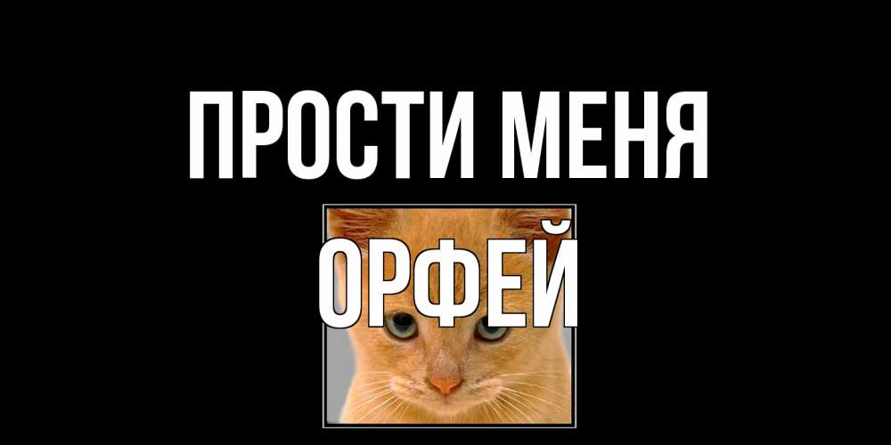 Открытка на каждый день с именем, Орфей Прости меня рыжий грустный кот просит прощения Прикольная открытка с пожеланием онлайн скачать бесплатно 