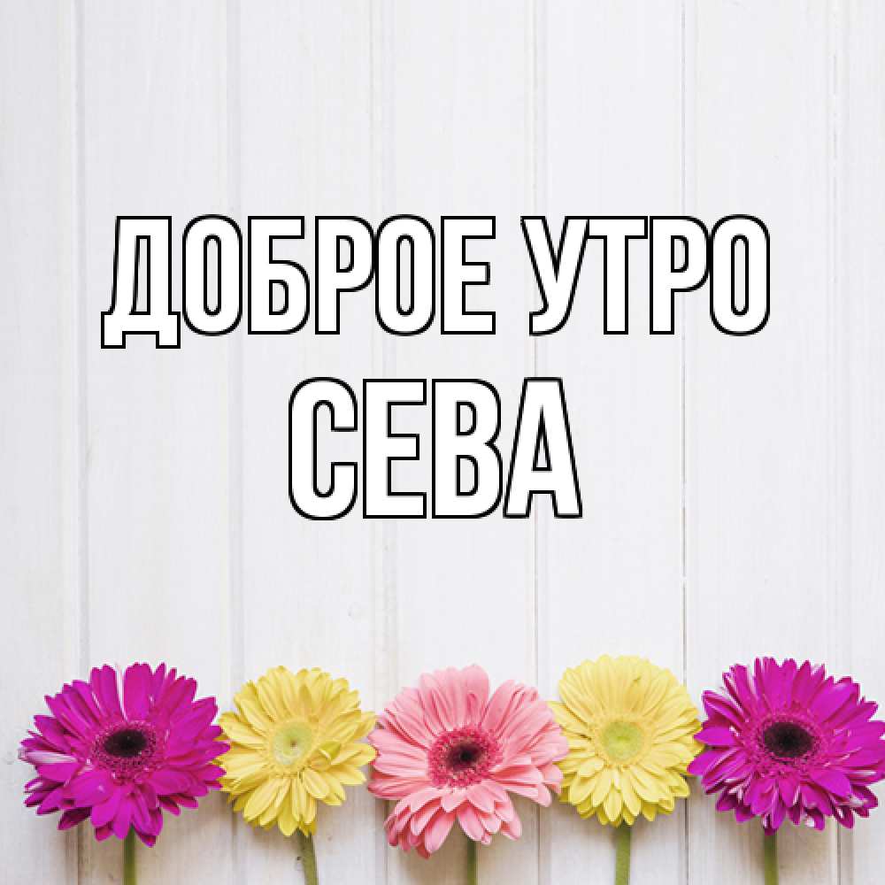 Открытка на каждый день с именем, Сева Доброе утро красный желтый и розовый цветок Прикольная открытка с пожеланием онлайн скачать бесплатно 