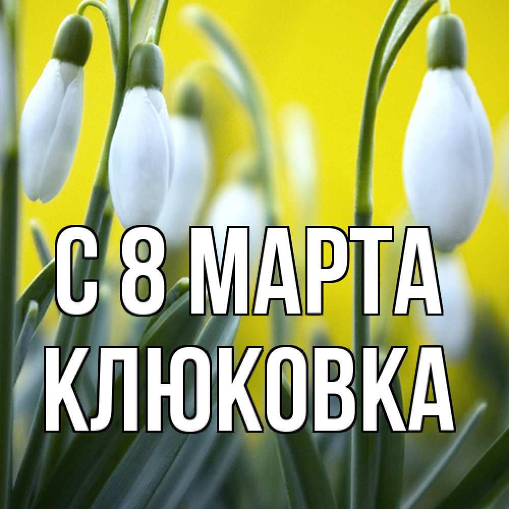 Открытка на каждый день с именем, клюковка C 8 МАРТА весенние цветы Прикольная открытка с пожеланием онлайн скачать бесплатно 