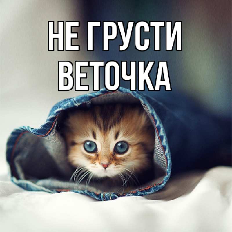 Картинка Не грусти, Веточка