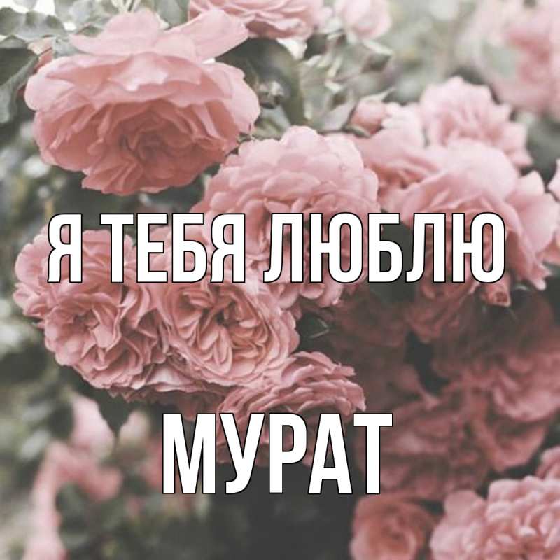 Открытка с именем, Мурат, Я тебя люблю