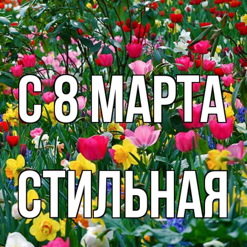 Картинка C 8 МАРТА, Стильная