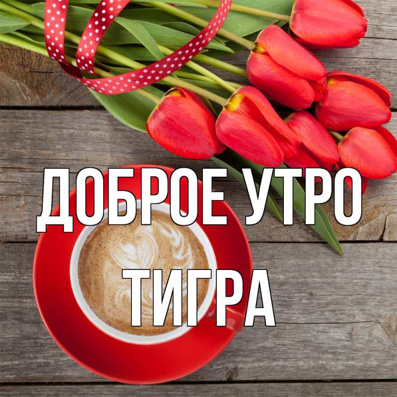 Картинка Доброе утро, Тигpа