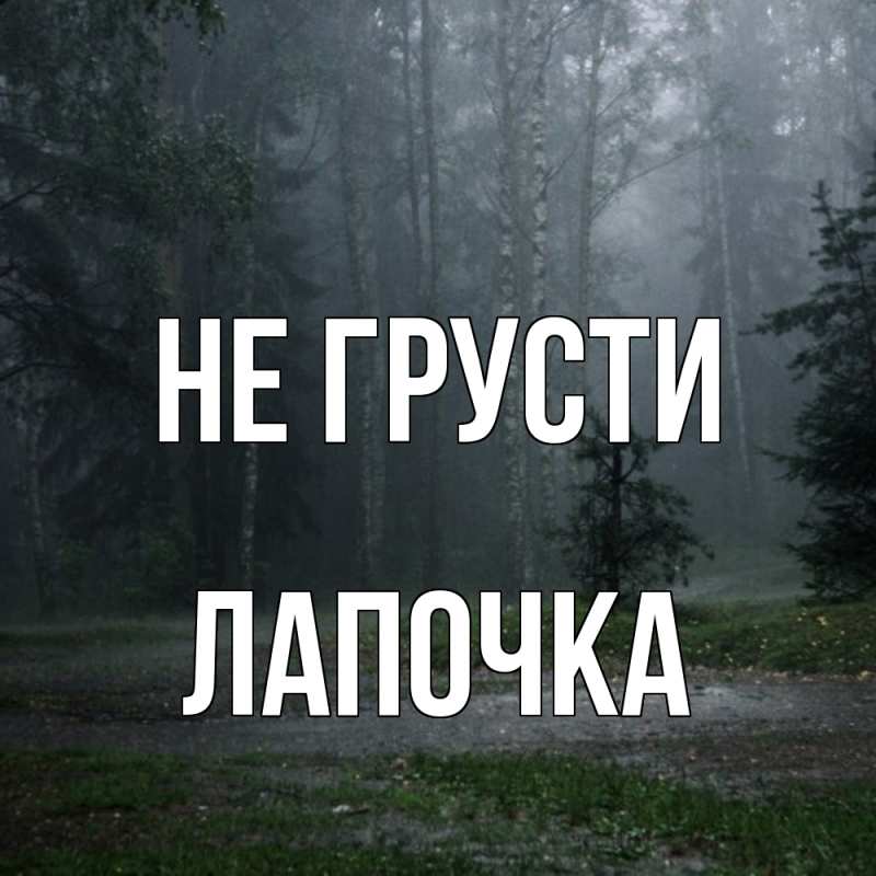 Картинка Не грусти, лапочка