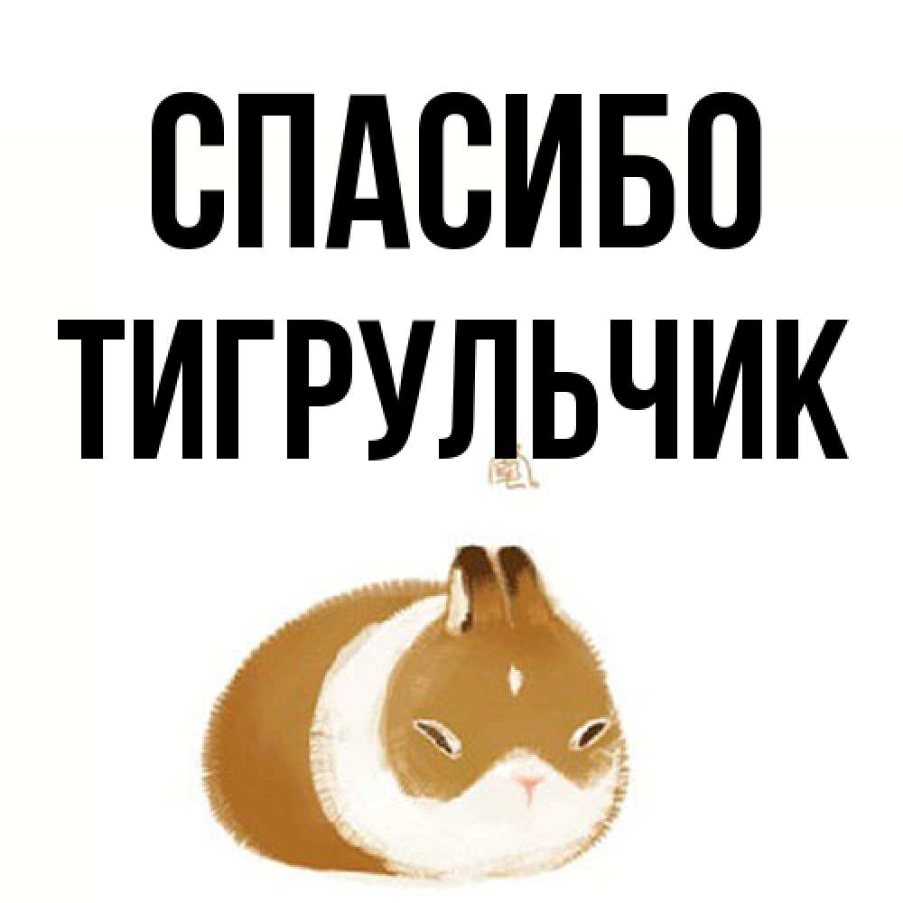 Открытка на каждый день с именем, Тигpульчик Спасибо коричнево белый домашний питомец Прикольная открытка с пожеланием онлайн скачать бесплатно 