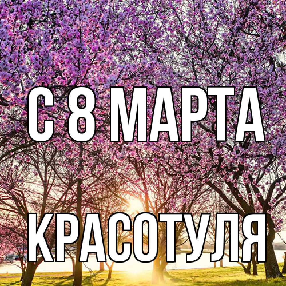 Открытка на каждый день с именем, Красотуля C 8 МАРТА международный женский день Прикольная открытка с пожеланием онлайн скачать бесплатно 