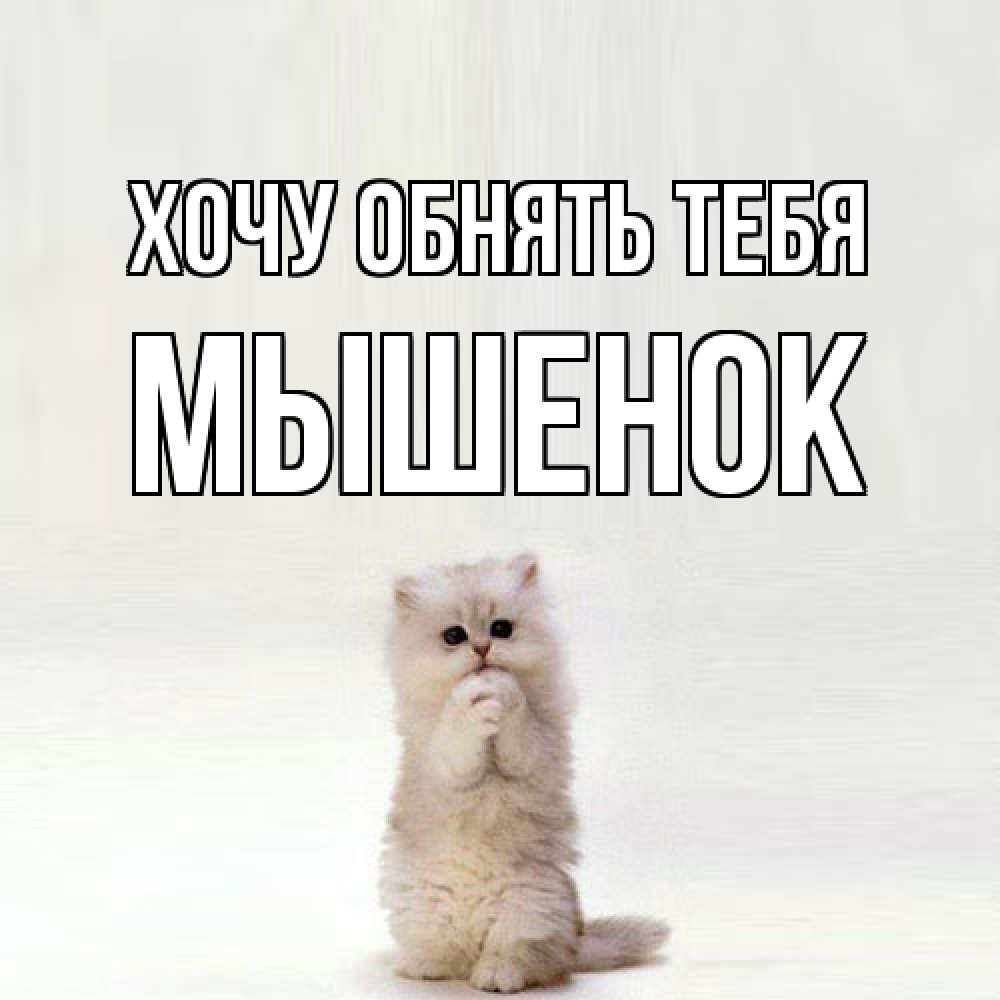 Открытка на каждый день с именем, Мышенок Хочу обнять тебя открытки с креативными подписями Прикольная открытка с пожеланием онлайн скачать бесплатно 