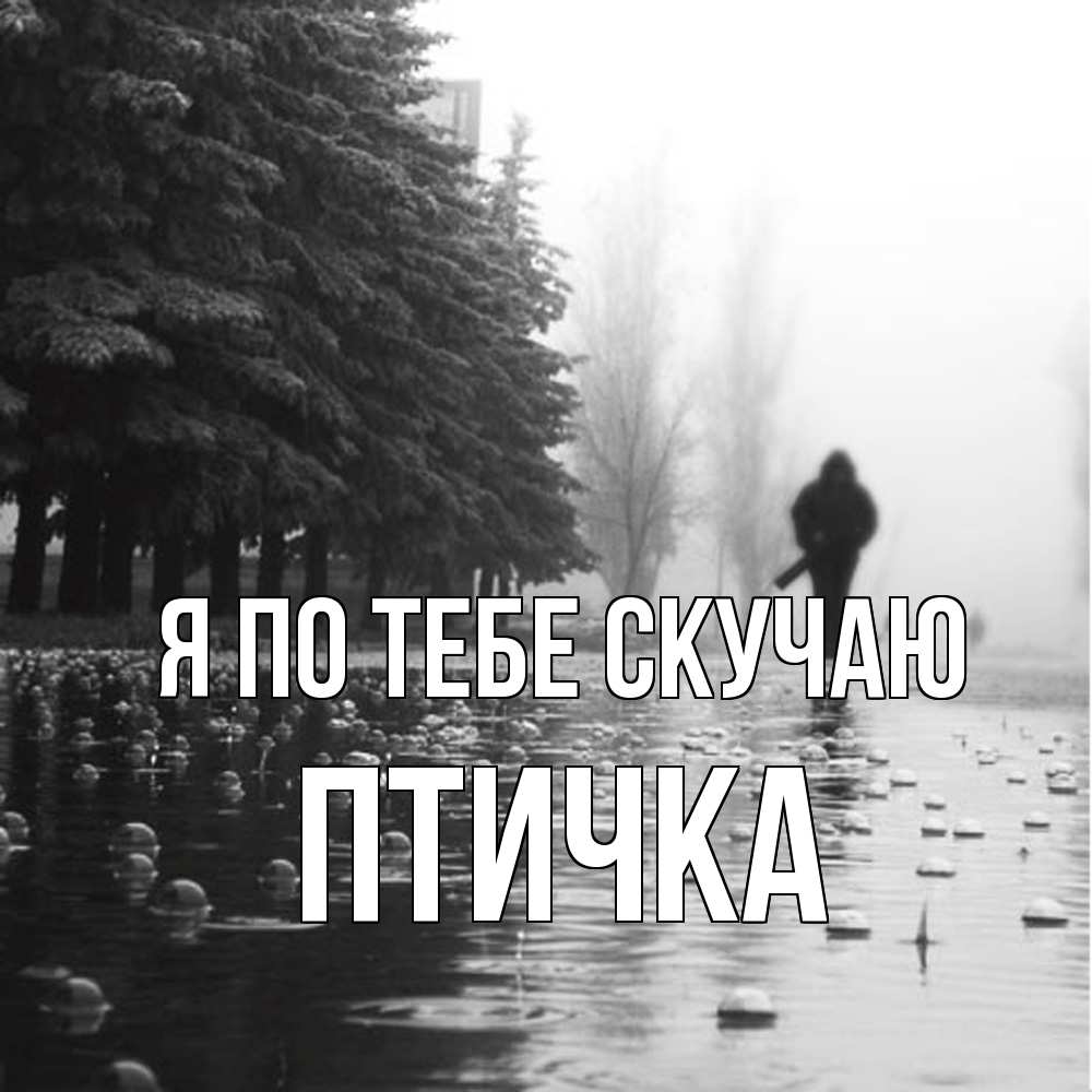 Открытка на каждый день с именем, Птичка Я по тебе скучаю приходи Прикольная открытка с пожеланием онлайн скачать бесплатно 