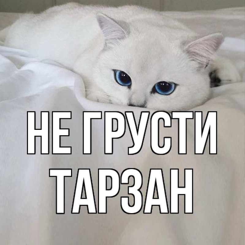 Картинка Не грусти, Тарзан