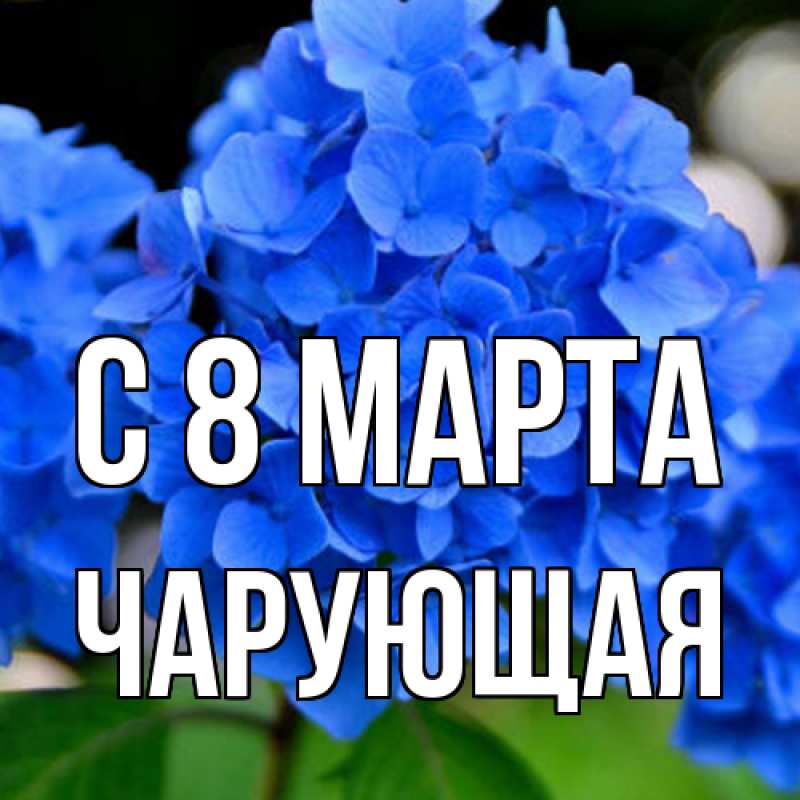 Картинка C 8 МАРТА, Чаpующая