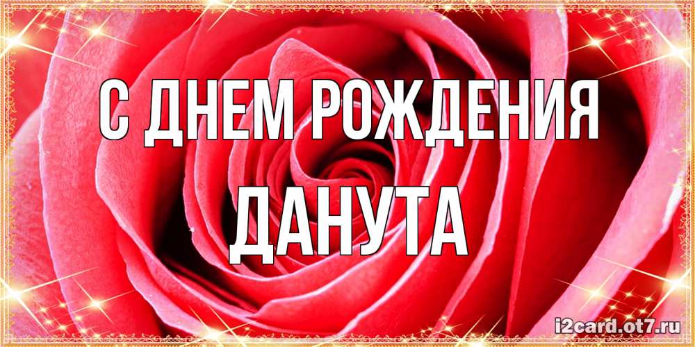 Открытка на каждый день с именем, Данута С днем рождения розовая роза очень крупный бутон Прикольная открытка с пожеланием онлайн скачать бесплатно 