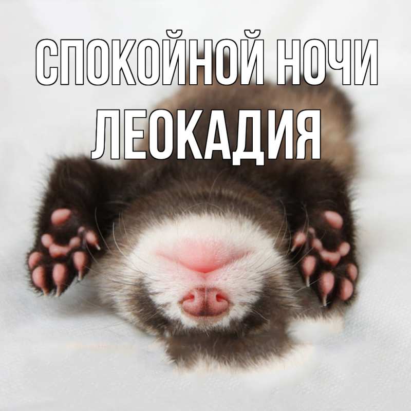 Картинка Спокойной ночи, Леокадия