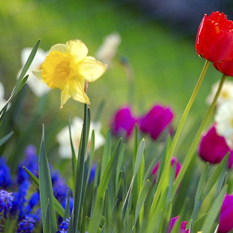 Картинка C 8 МАРТА, Целеустремлённая