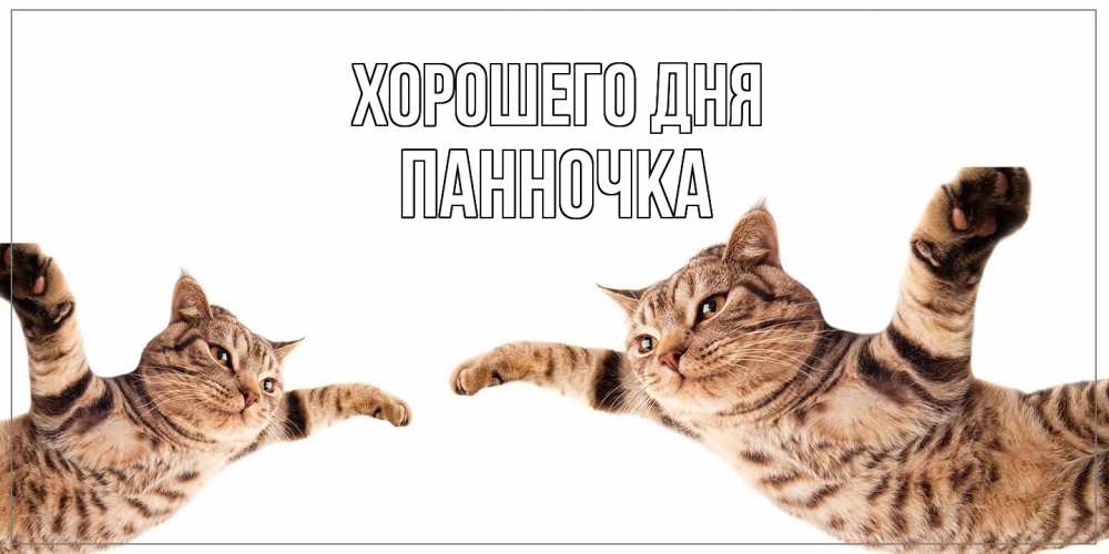 Открытка на каждый день с именем, Панночка Хорошего дня хорошего дня Прикольная открытка с пожеланием онлайн скачать бесплатно 