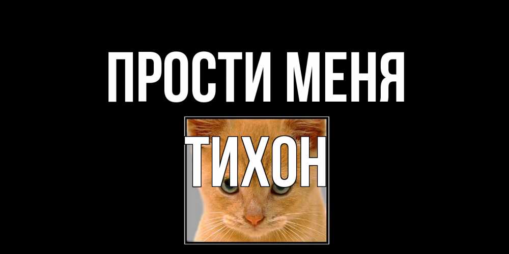 Открытка на каждый день с именем, Тихон Прости меня рыжий грустный кот просит прощения Прикольная открытка с пожеланием онлайн скачать бесплатно 