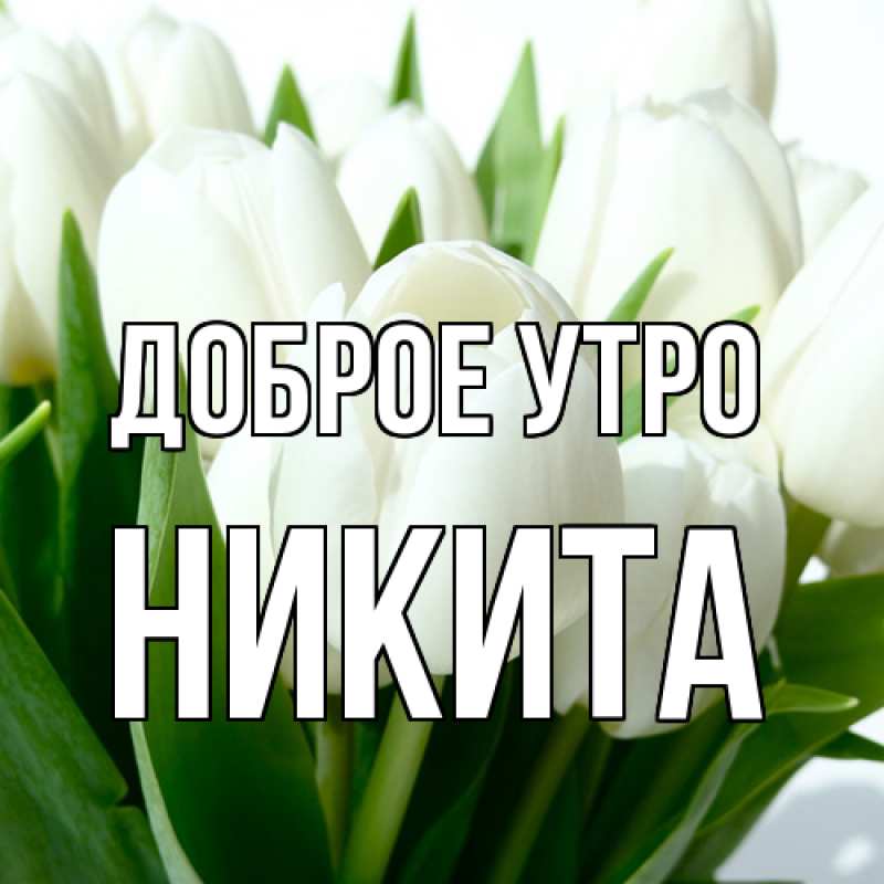 Картинка Доброе утро, Никита