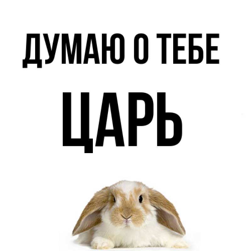 Картинка Думаю о тебе, Царь