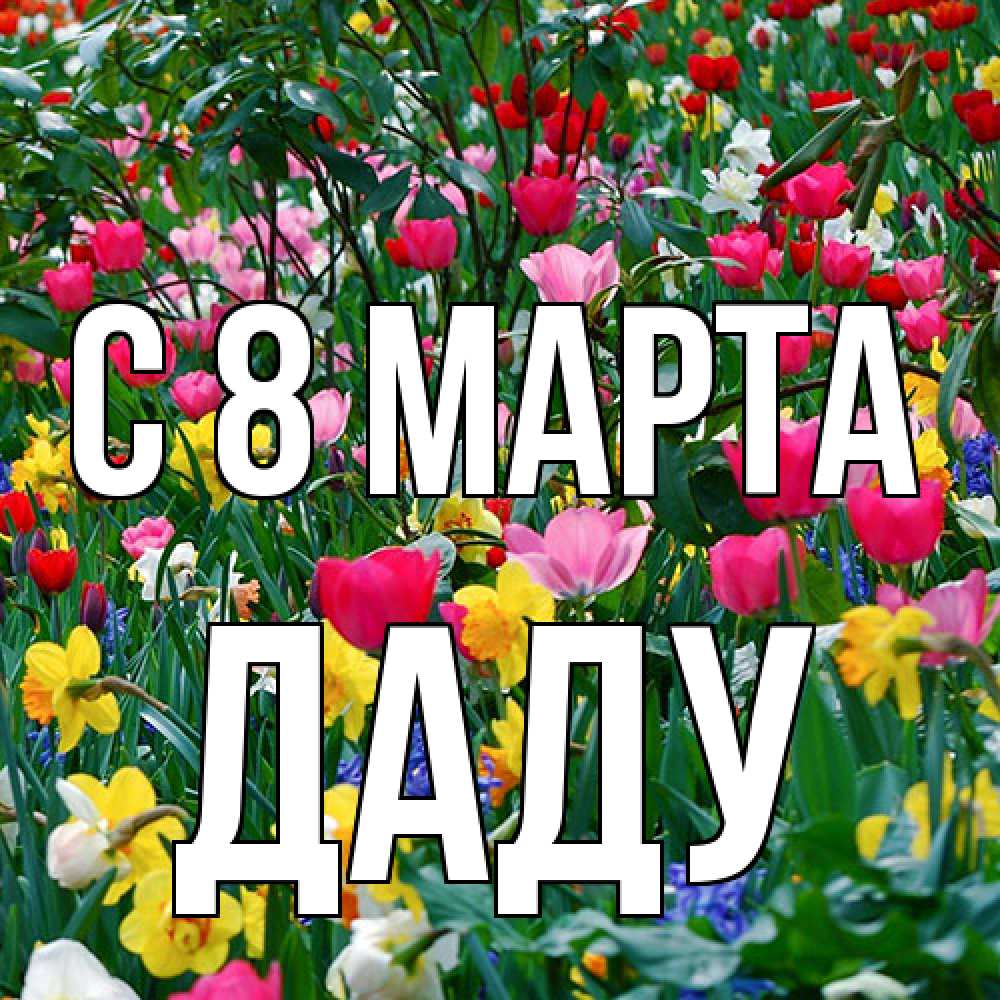 Открытка на каждый день с именем, Даду C 8 МАРТА с международным женским днем поздравления для женщины Прикольная открытка с пожеланием онлайн скачать бесплатно 