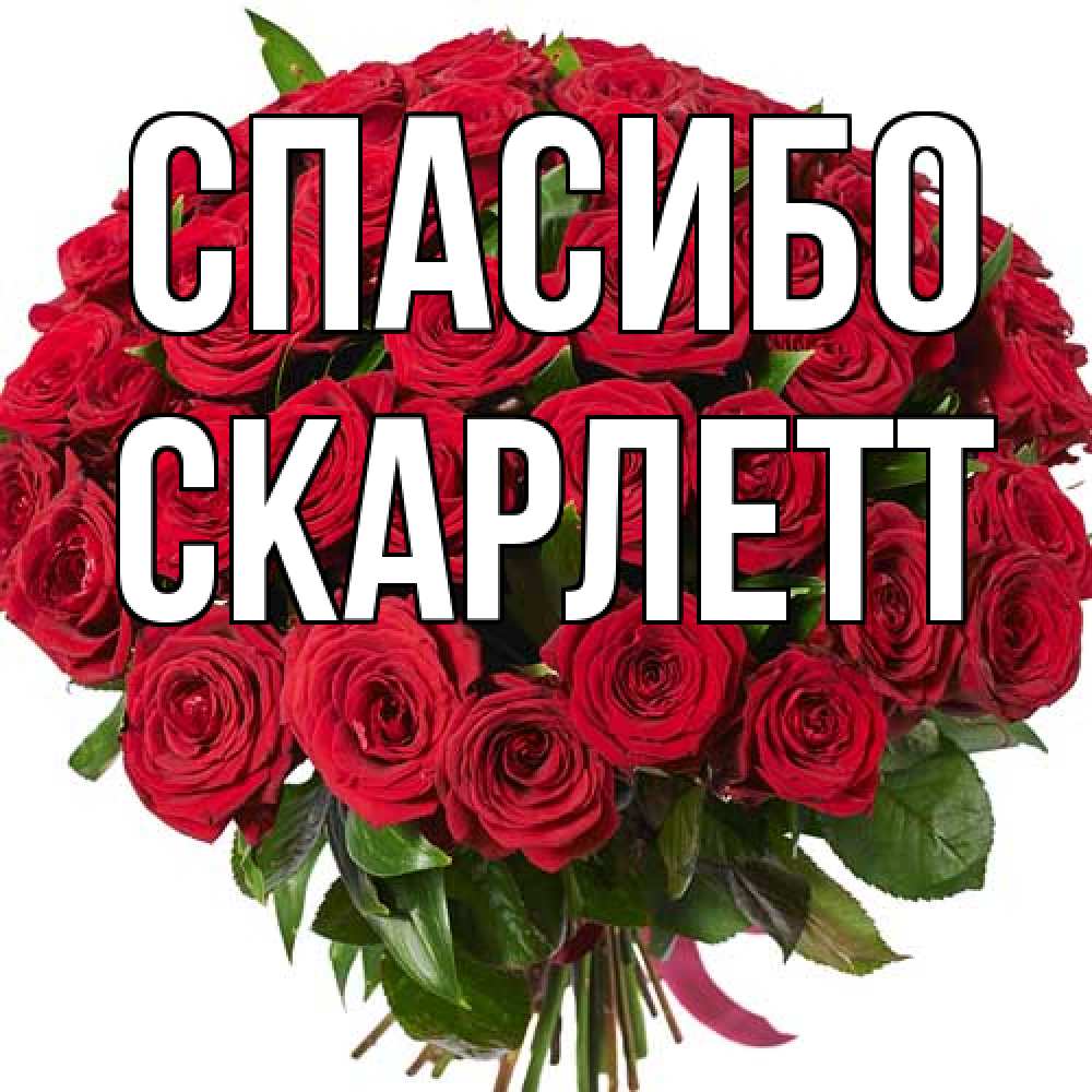 Открытка на каждый день с именем, Скарлетт Спасибо букет красных роз Прикольная открытка с пожеланием онлайн скачать бесплатно 