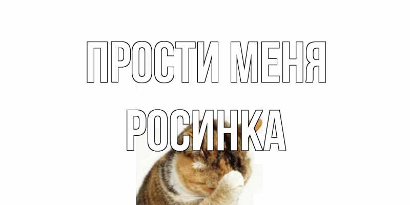Картинка Прости меня, Росинка