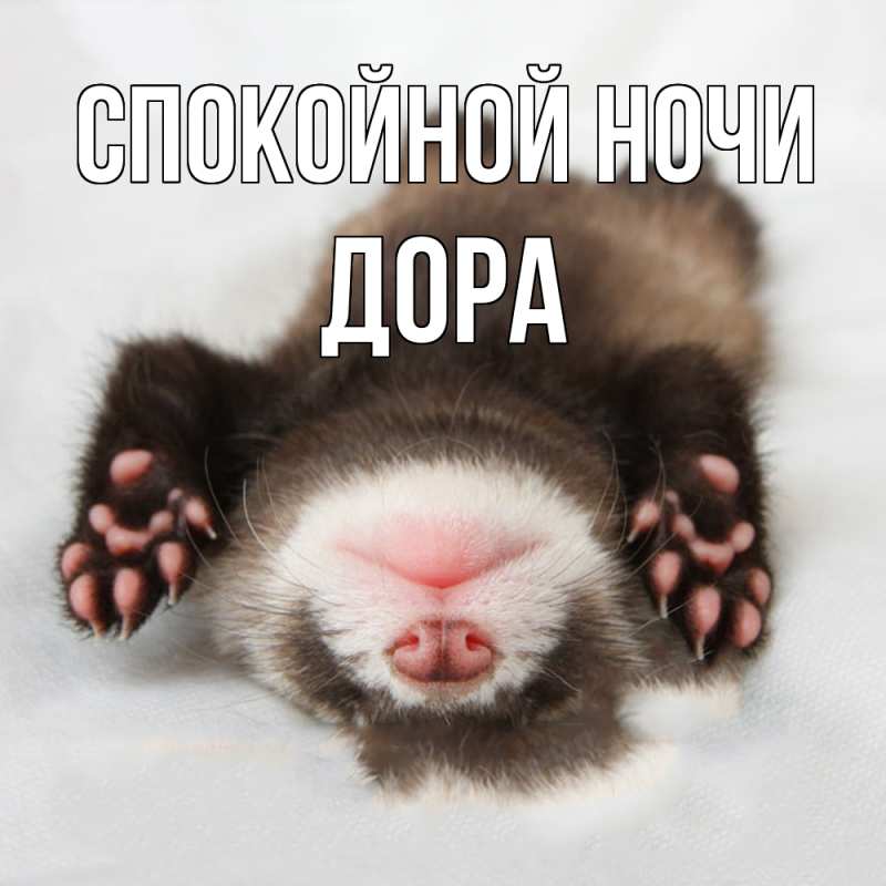 Картинка Спокойной ночи, Дора