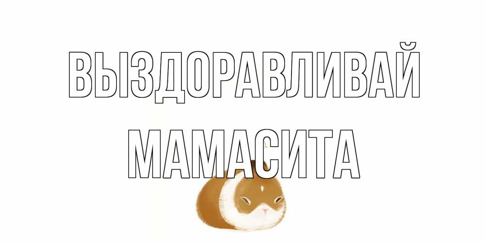 Открытка на каждый день с именем, Мамасита Выздоравливай морская свинка на открытке с пожеланиями не болеть Прикольная открытка с пожеланием онлайн скачать бесплатно 